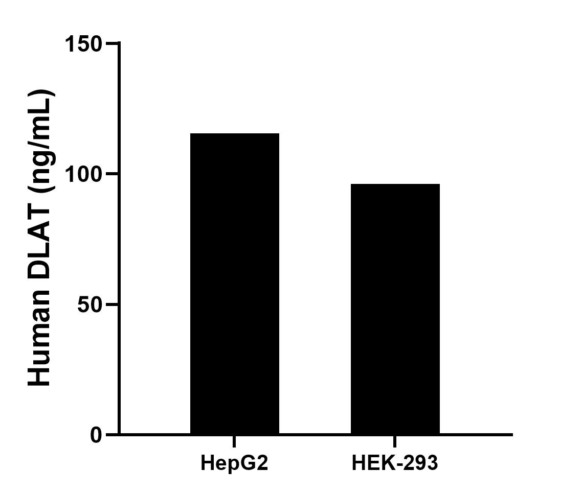 Sample test of MP00635-4